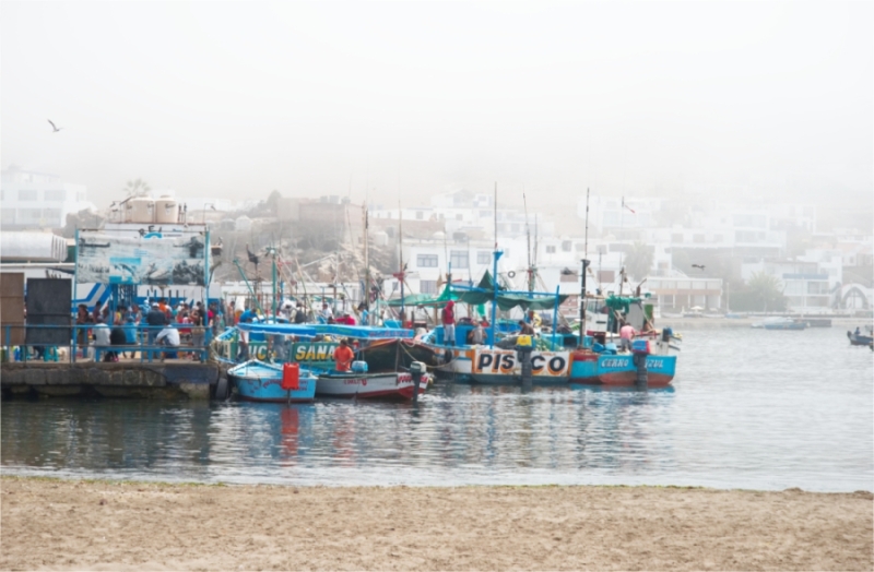 De haven