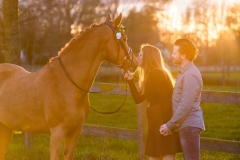 koppelfotoshoot met paard