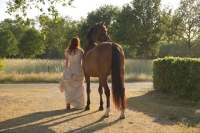 Paardenfotoshoot in de avond