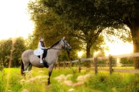 Paardenfotoshoot met kinderen