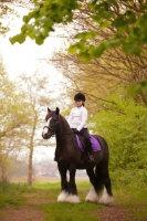 Fotoshoot met je paard