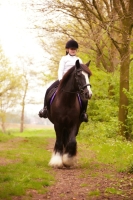 Fotoshoot met je paard