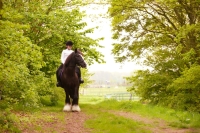 Fotoshoot met je paard