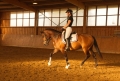 Draf foto pony