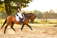 actiefoto met je paard