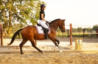 actiefoto  met je paard