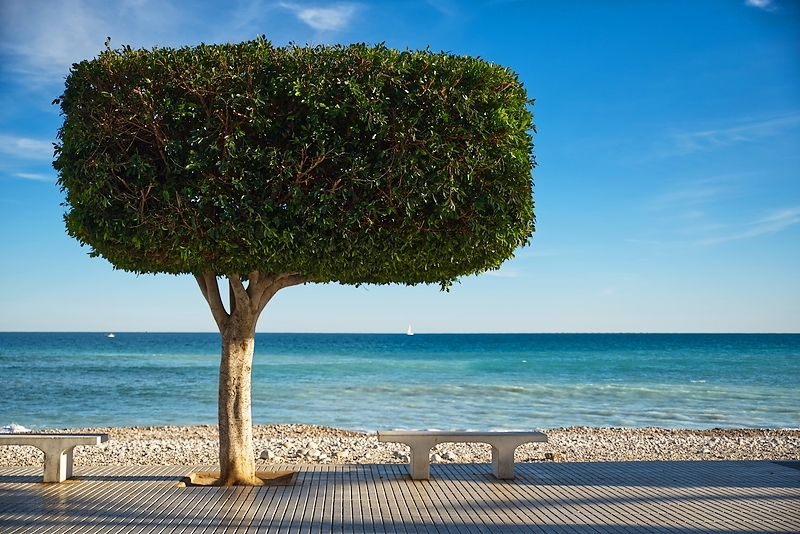 Altea-10