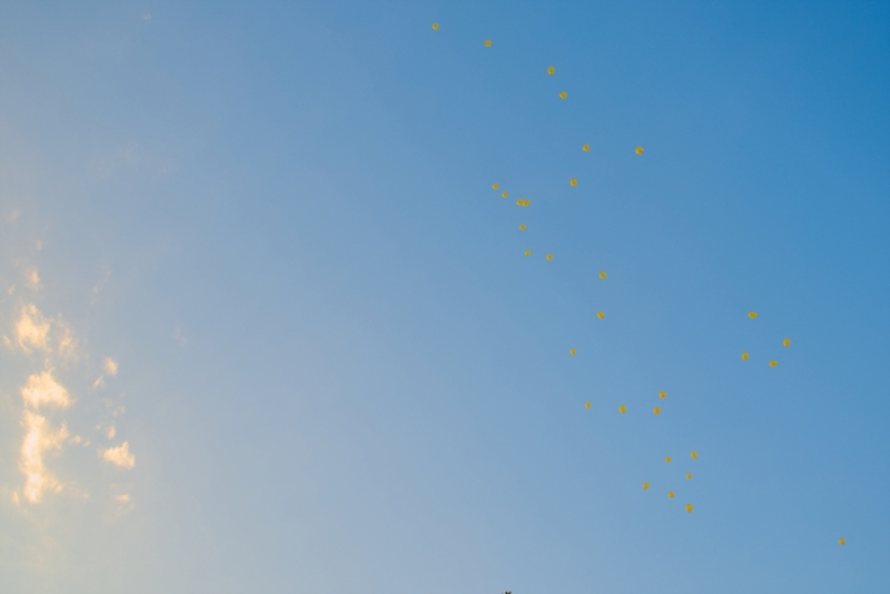 Biologisch afbreekbare ballonnen