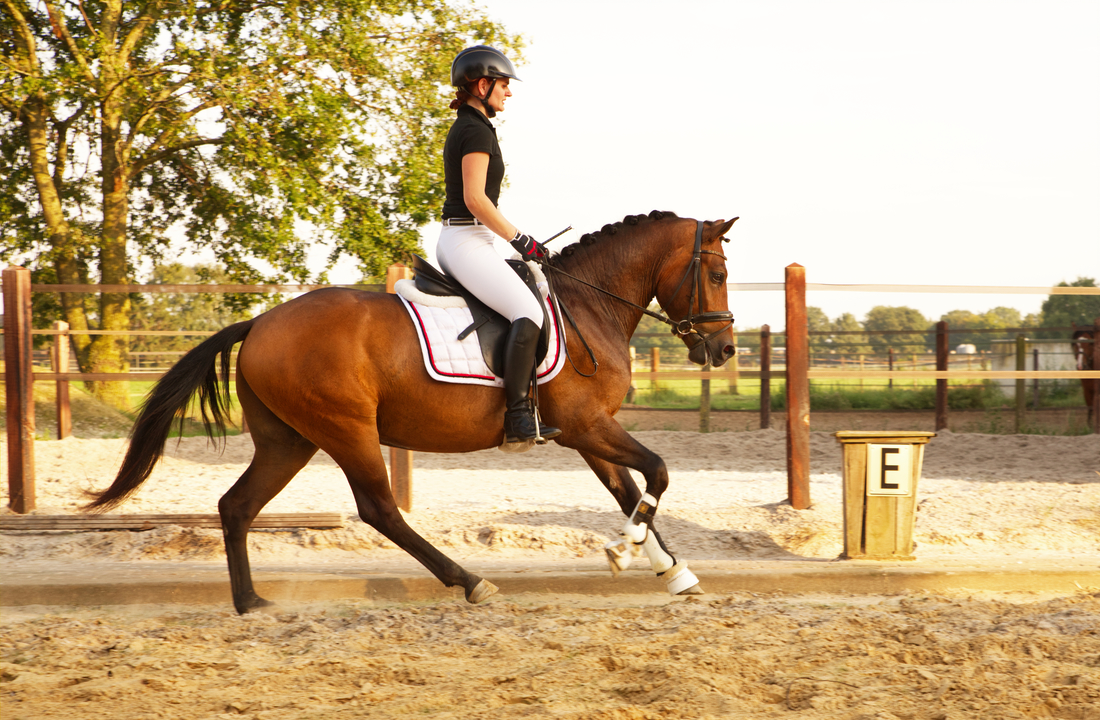 Amazone en haar paard in galop in Limburg.