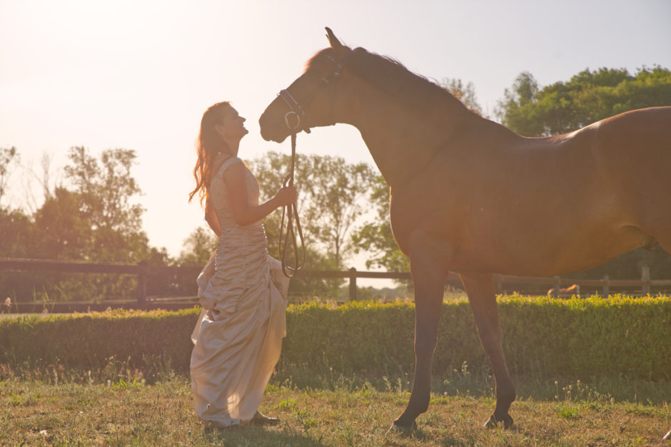 Paarden fotoshoot in Roermond met de avondzon.