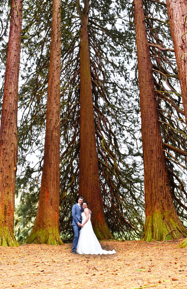 Bruidspaar bij Landgoed Rhederoord bij de Sequoia bomen. 