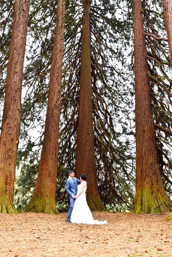 Prachtige plek voor romantische portretten bij de hoge sequoia bomen bij landgoed Rhederoord. Door trouwfotograaf uit Limburg.