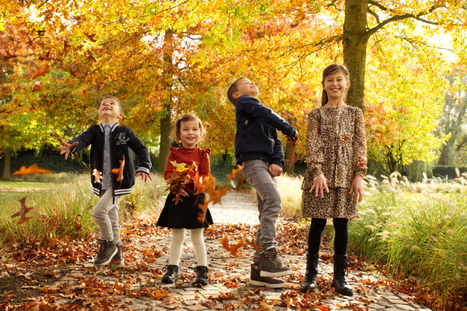 Kinderen gooien met de herfstbladeren, fotoshoot van een gezin in Limburg.