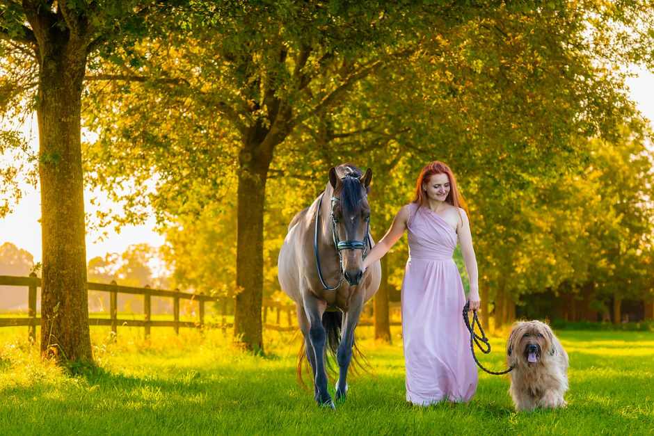 Vrouw loopt langs de bomen met paard en hond in Limburg. Tijdens de herfst.