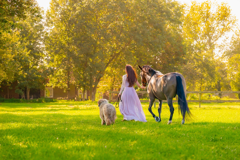 Vrouw loopt richting de bomen met paard en hond in Limburg in de herfst.