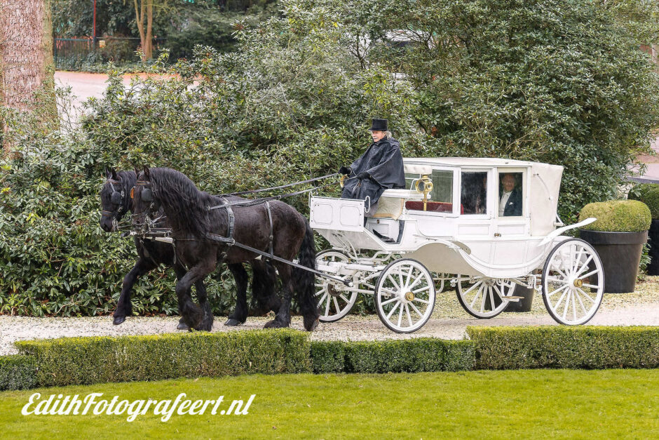 Koets met twee friezen in Limburg, door fotograaf uit Roermond.