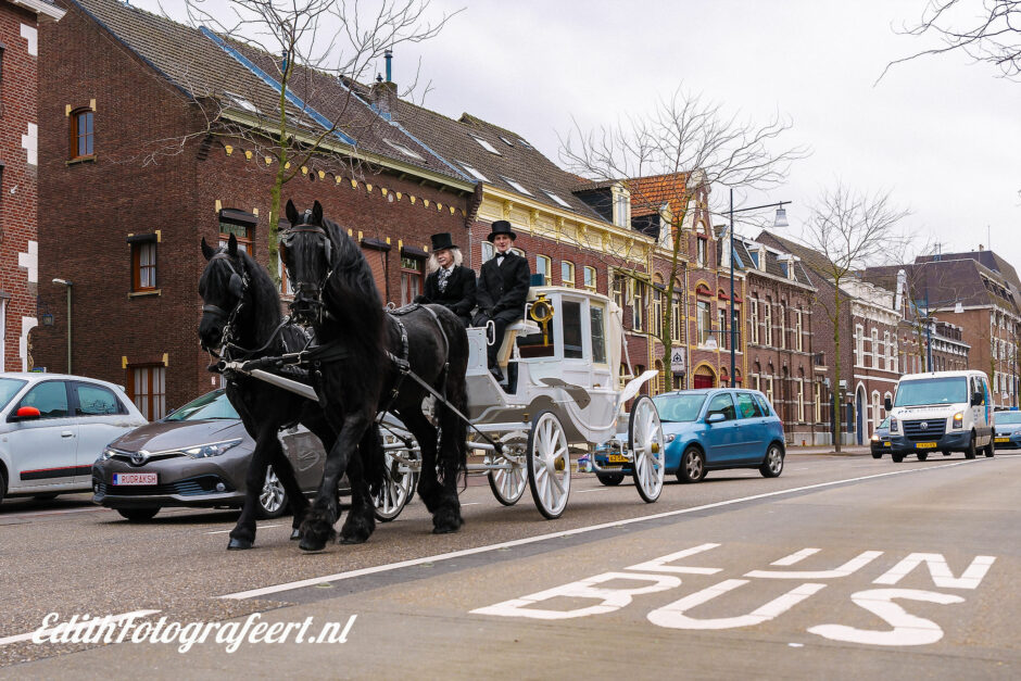 Koets met twee friezen in de binnenstad van Roermond op weg naar het stadhuis met bruidspaar.